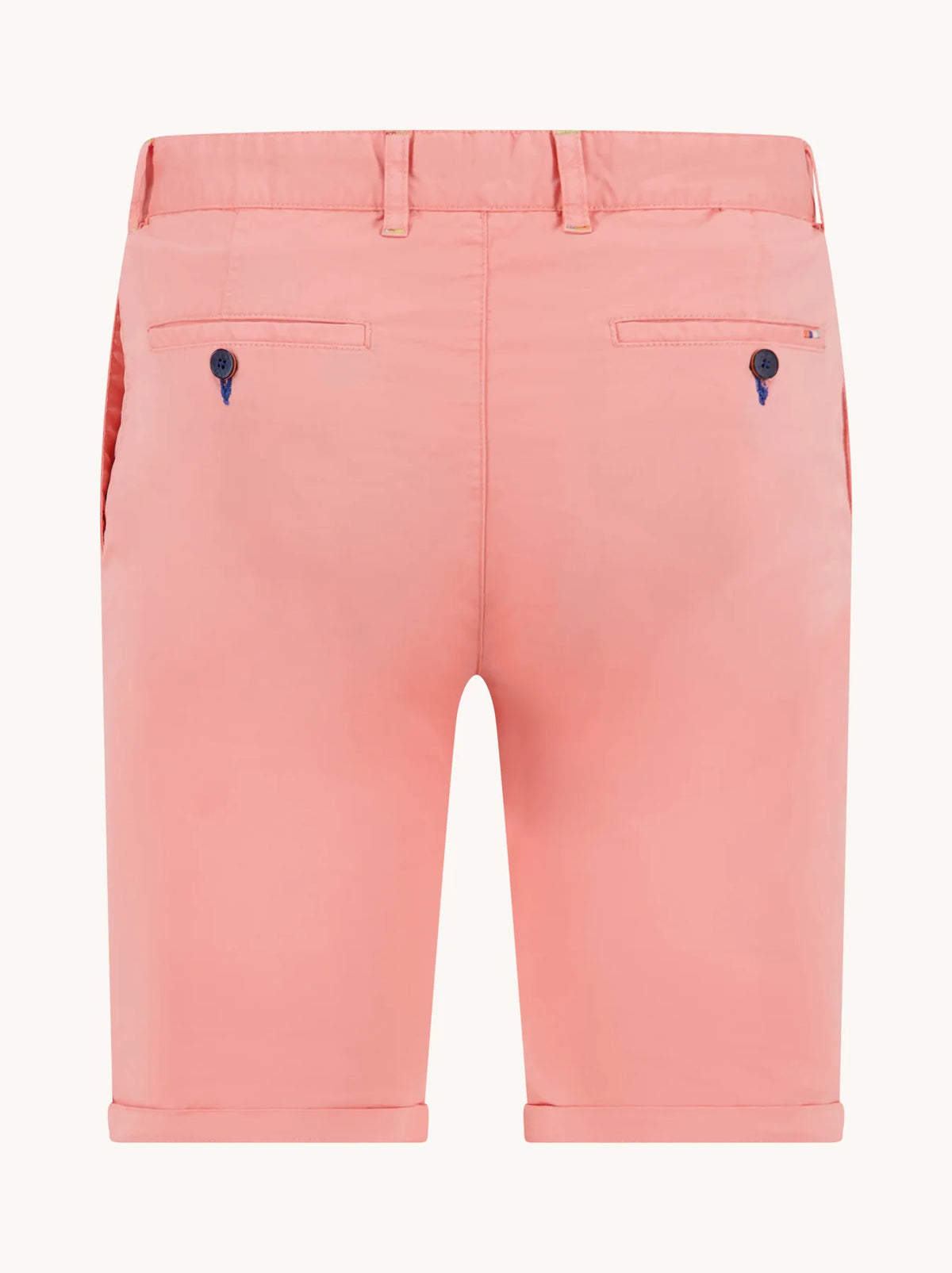 Bermuda Shorts