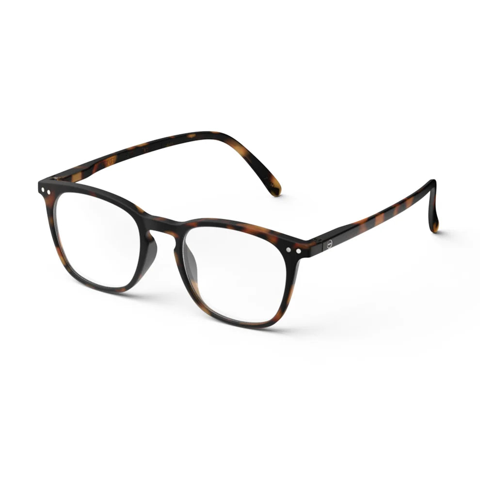 Reading Collection E - Tortoise