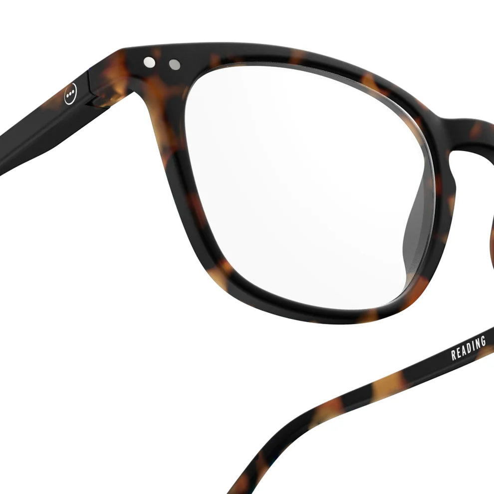 Reading Collection E - Tortoise