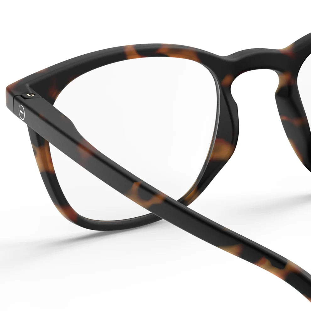 Reading Collection E - Tortoise