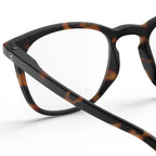 Reading Collection E - Tortoise